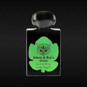 ADAM & EVE’S DRESS